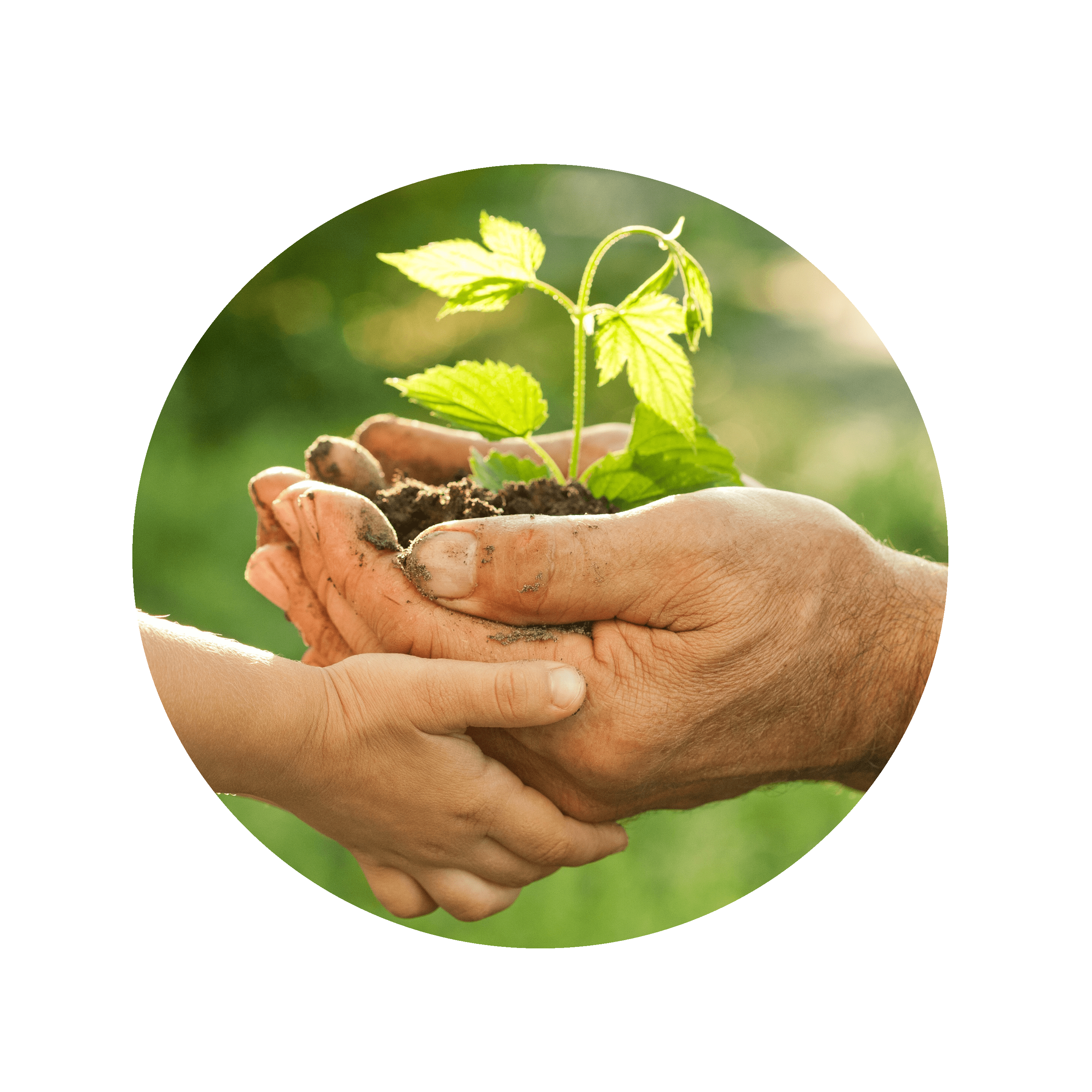 Foto mãos e planta-min.png